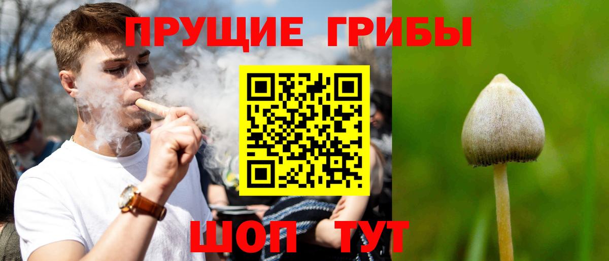Псилоцибиновые грибы Magic Shrooms  Псилоцибиновые грибы GOLDEN TEACHER  Вход с VPN  Хасавюрт 